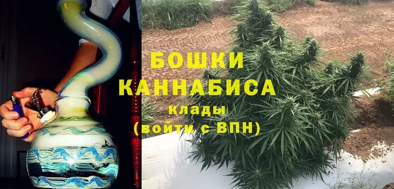 как найти наркотики  Ишим  Марихуана SATIVA & INDICA 